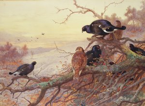 冬のブラックゲーム 作： Archibald Thorburn